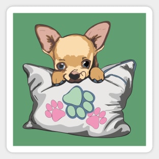 Cute chihuahua Magnet